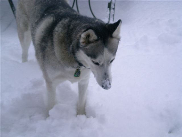 First Snow